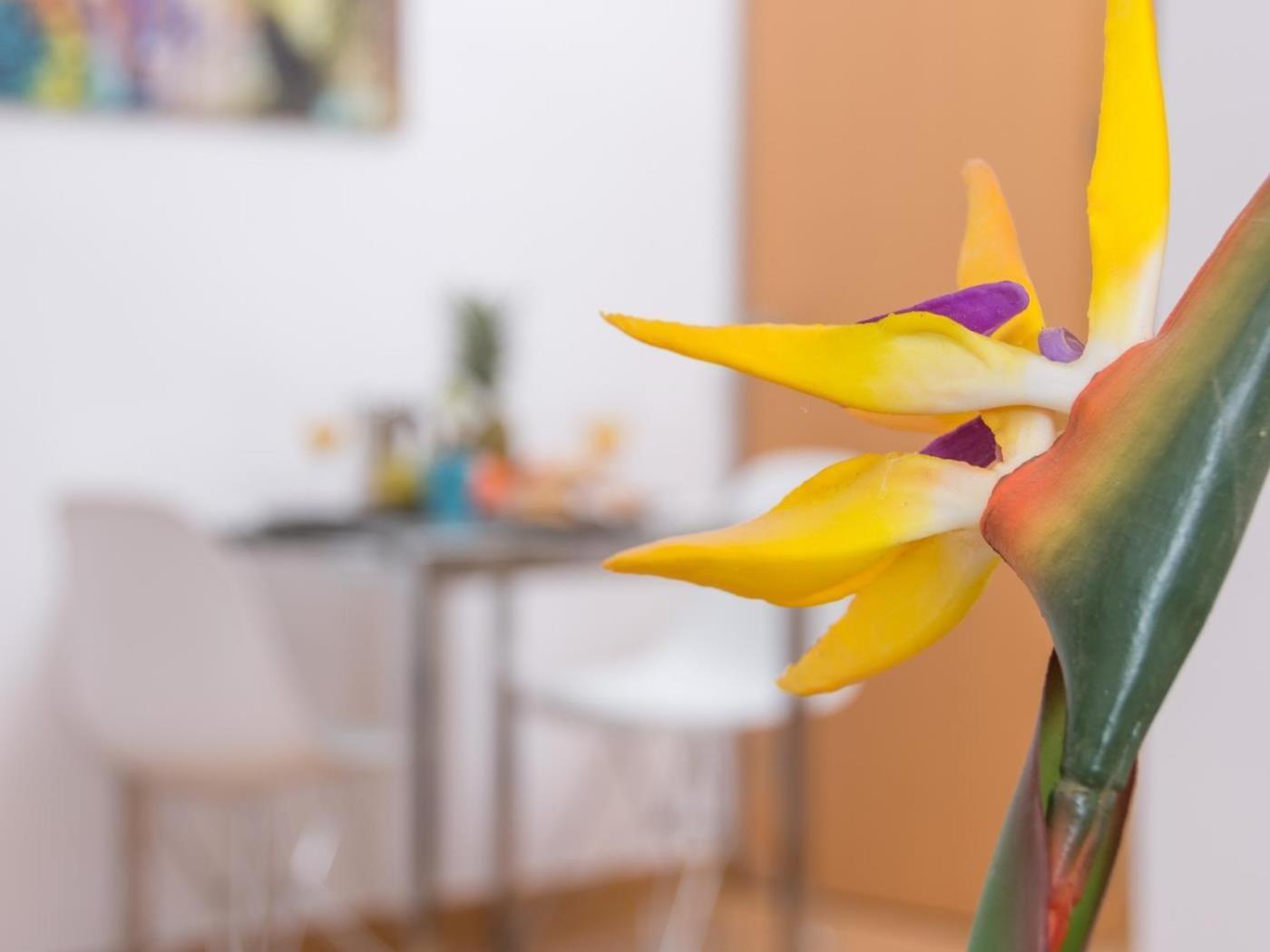 Appartement Magnifico Estudio En Bolsa 6. Ac. *